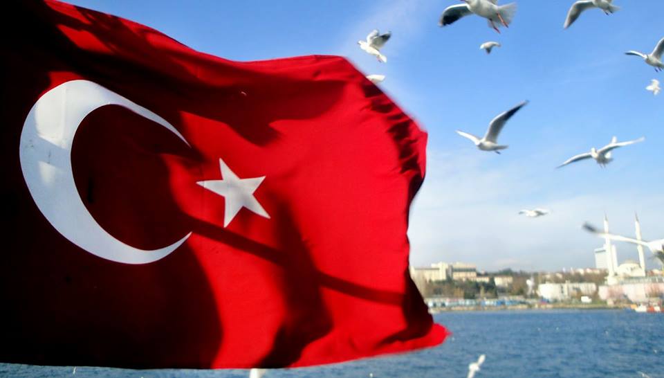 Yurtdışında Yaşayan Türk Vatandaşlarının Çalışma Hayatına İlişkin Sorunları